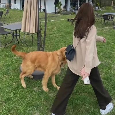 谋爱上瘾第一季